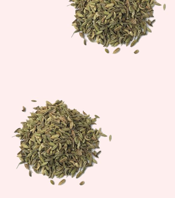 Our Gut Shot ingredients