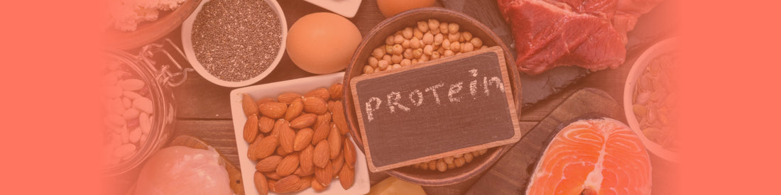 A Quick Guide to Protein