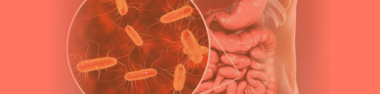 Can Stress Lead to Changes in Gut Bacteria Composition?