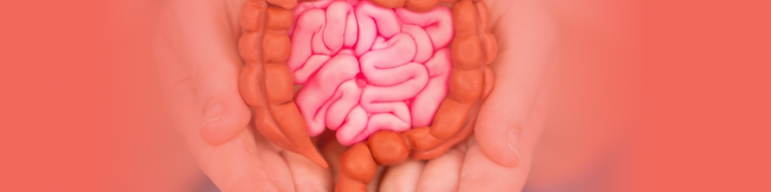 Migraines and Gut Health: Could your headache be linked to your gut?