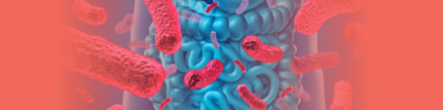 Prebiotics, Probiotics and the Microbiome