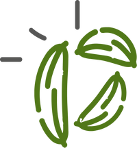 Ingredient illustration