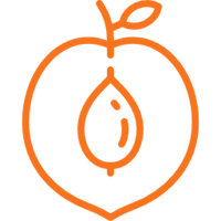 Ingredient illustration