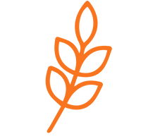Ingredient illustration