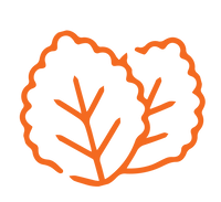 Ingredient illustration